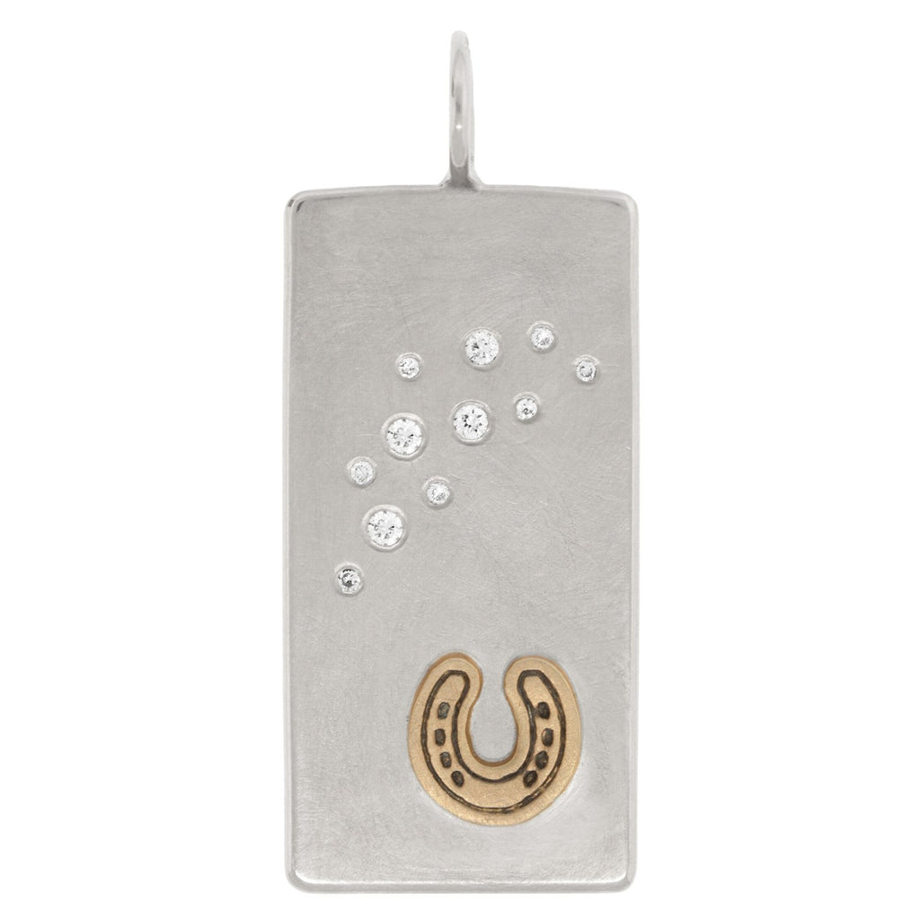 Horseshoe ID Tag