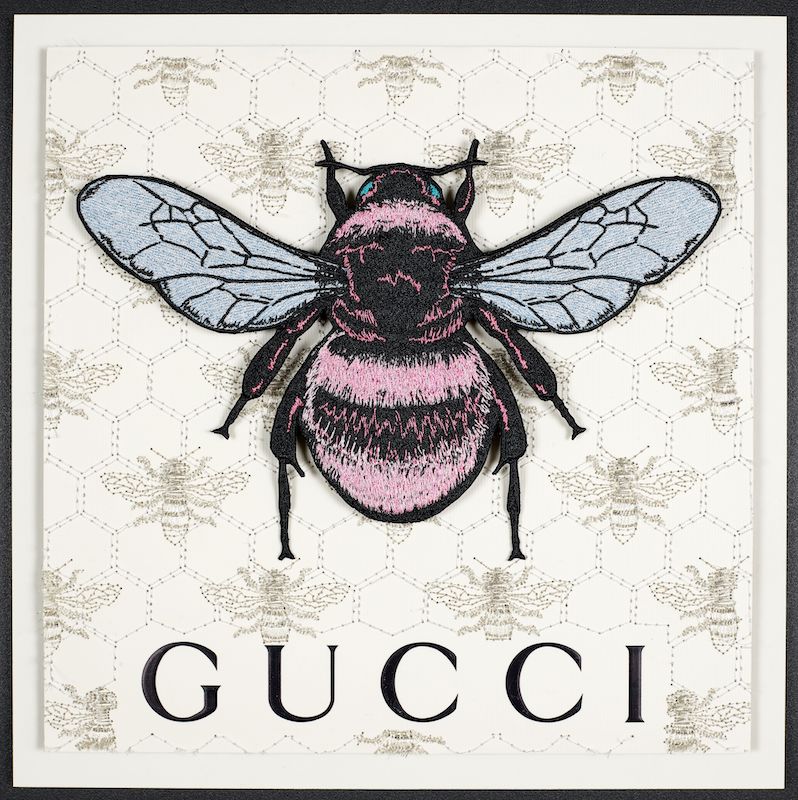 Stephen Wilson White Gucci Bee